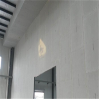 分宜宁波ALC板|EPS加气板隔墙与混凝土整浇联接的实验研讨